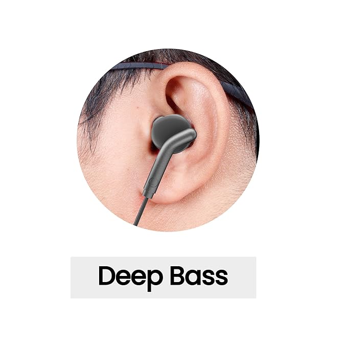 zebronics zeb bro+ earphones